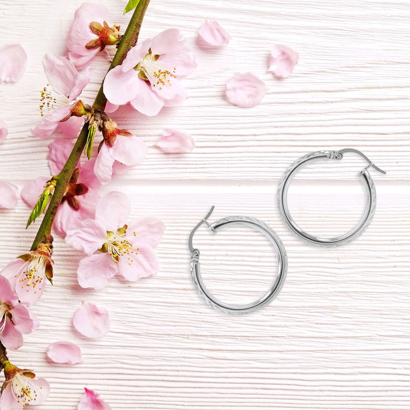 JS3062/SP/25/2DC Earrings