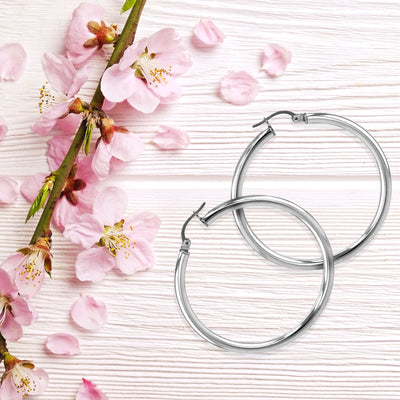 JS3063/SP/35/POL Earrings