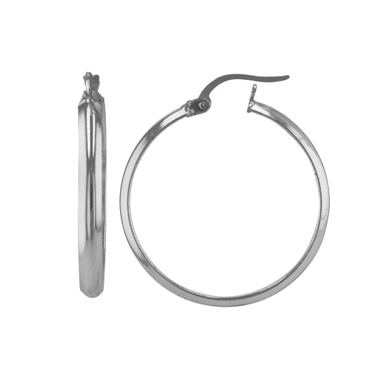 JS3066/SP/30/POL Earrings