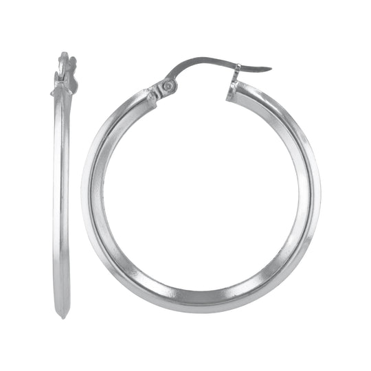 JS3067/SP/30/POL Earrings