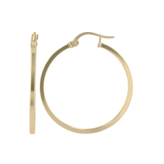 JS3069/24GP/20/POL Earrings