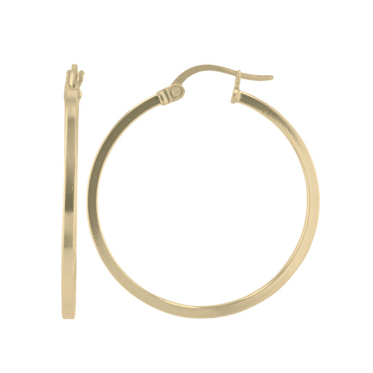 JS3069/24GP/30/POL Earrings