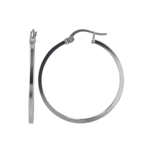 JS3069/SP/20/POL Earrings