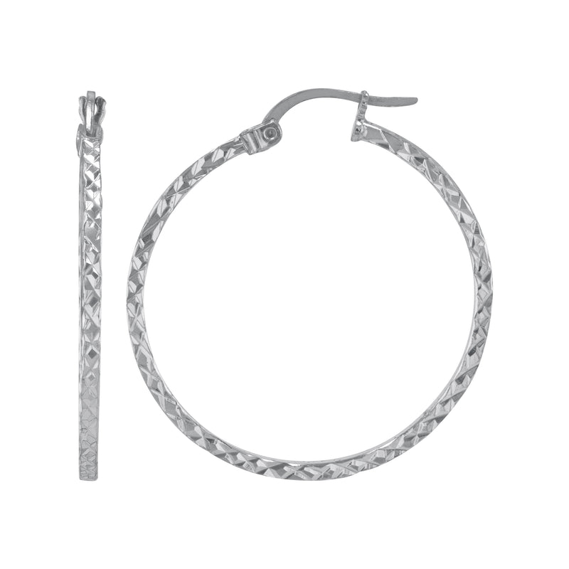 JS3069/SP/30/2DC Earrings