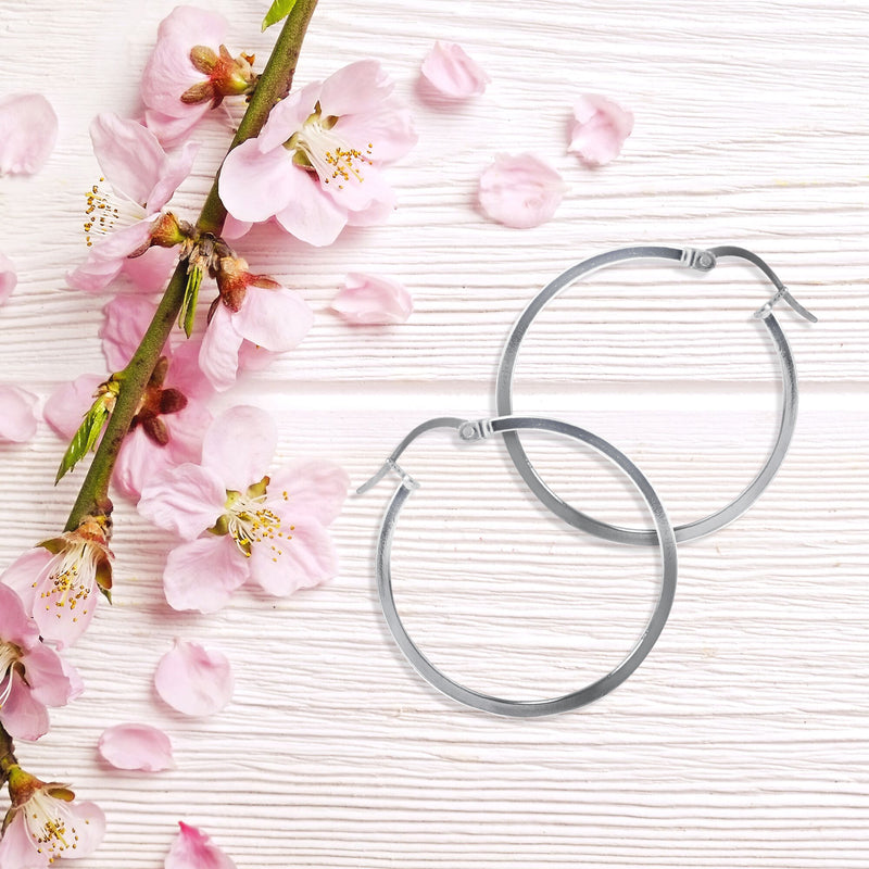 JS3069/SP/30/POL Earrings