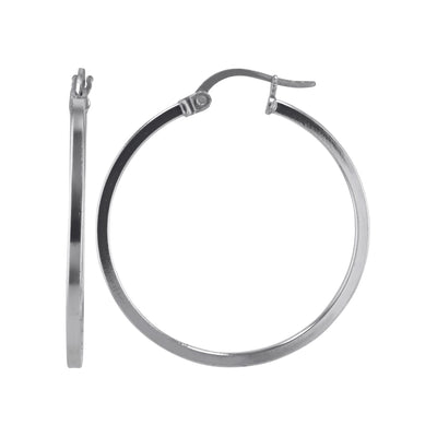 JS3069/SP/30/POL Earrings