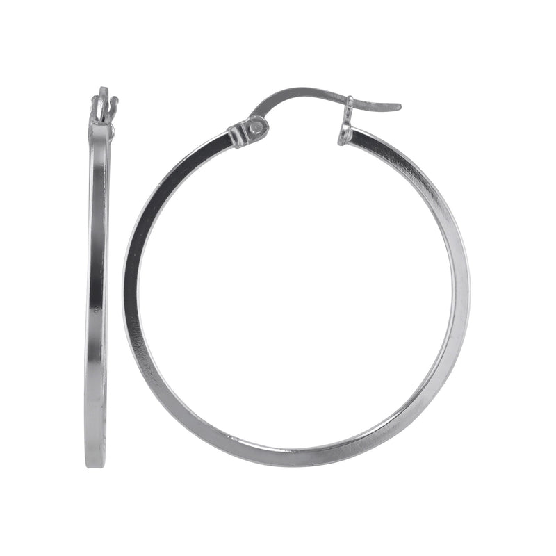 JS3069/SP/30/POL Earrings