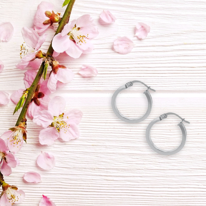 JS3070/SP/30/POL Earrings