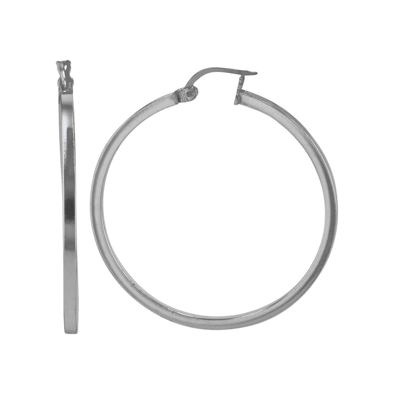 JS3070/SP/30/POL Earrings