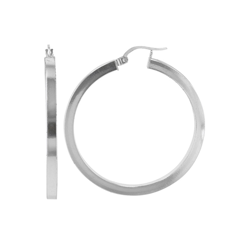 JS3071/SP/20/POL Earrings
