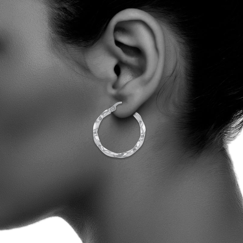 JS3076/SP/25/POL Earrings