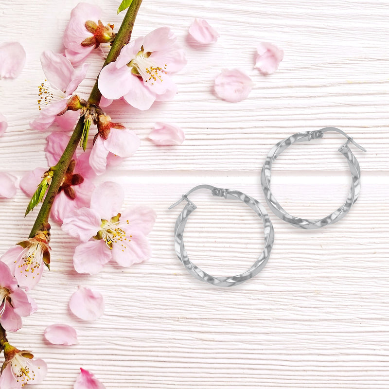 JS3076/SP/25/POL Earrings