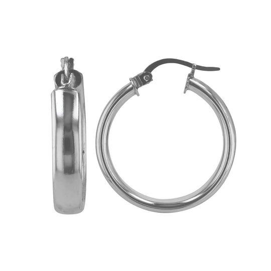 JS3077/SP/25/POL Earrings