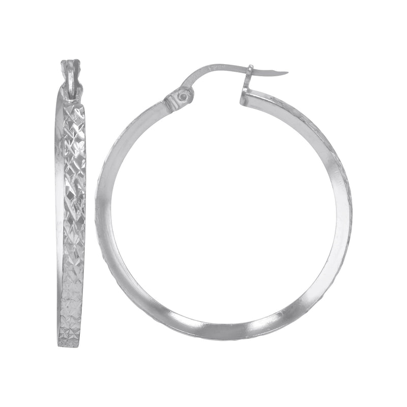 JS3088/SP/30/2DC Earrings