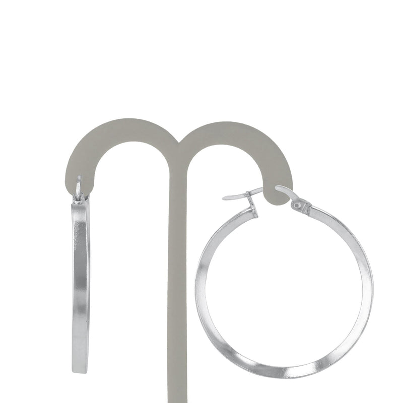 JS3088/SP/30/POL Earrings