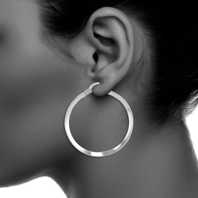 JS3088/SP/30/POL Earrings