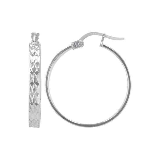 JS3090/SP/25/2DC Earrings