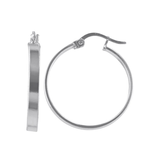 JS3090/SP/25/POL Earrings