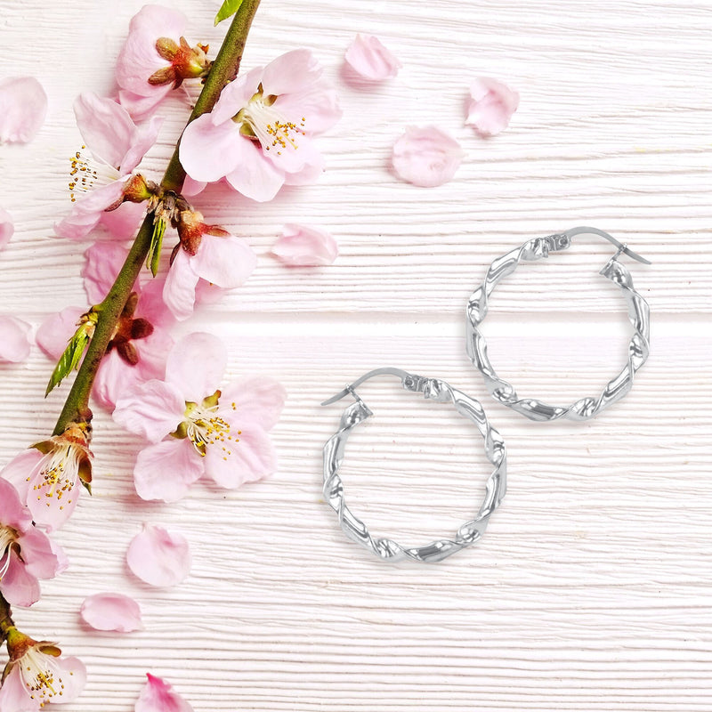 JS3097/SP/30/POL Earrings