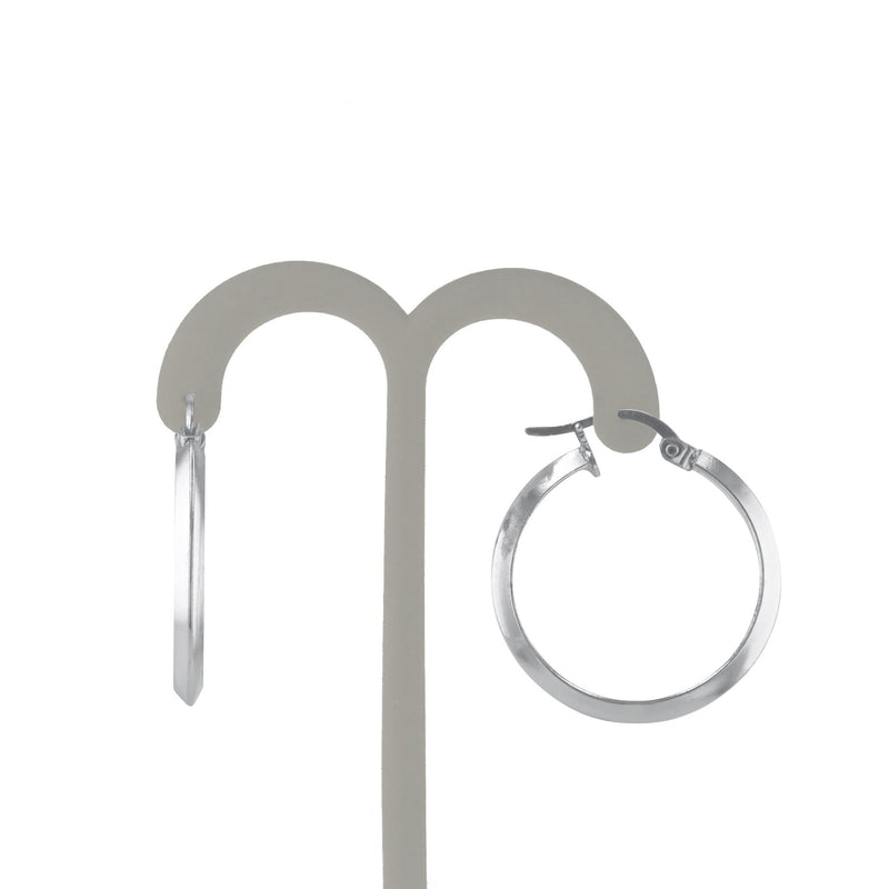 JS3101/SP/25/POL Earrings