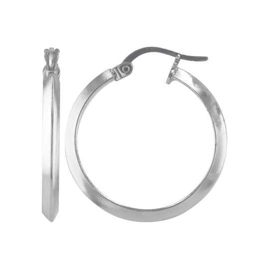 JS3101/SP/25/POL Earrings