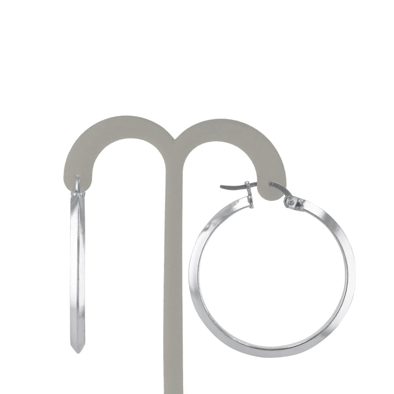 JS3101/SP/30/POL Earrings