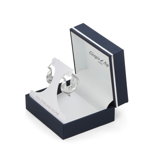 JS5497-E-SP Earrings in Branded Box
