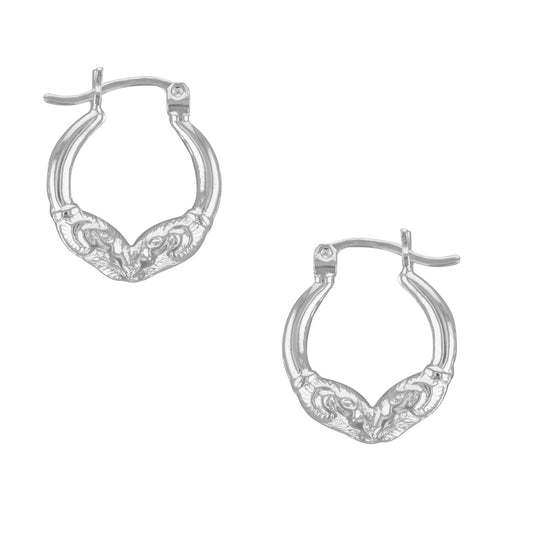 JS5529-E-SP Earrings
