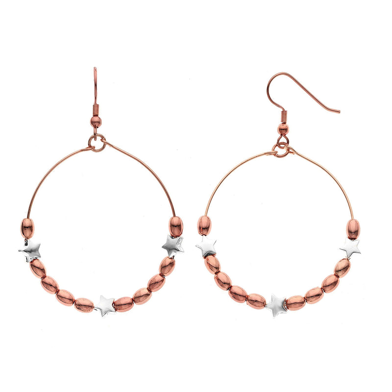 Y01503-RW Earrings