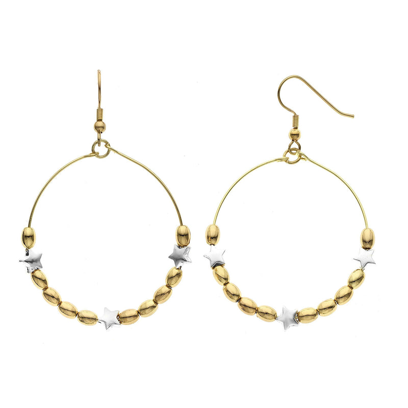 Y01503/YW Earrings