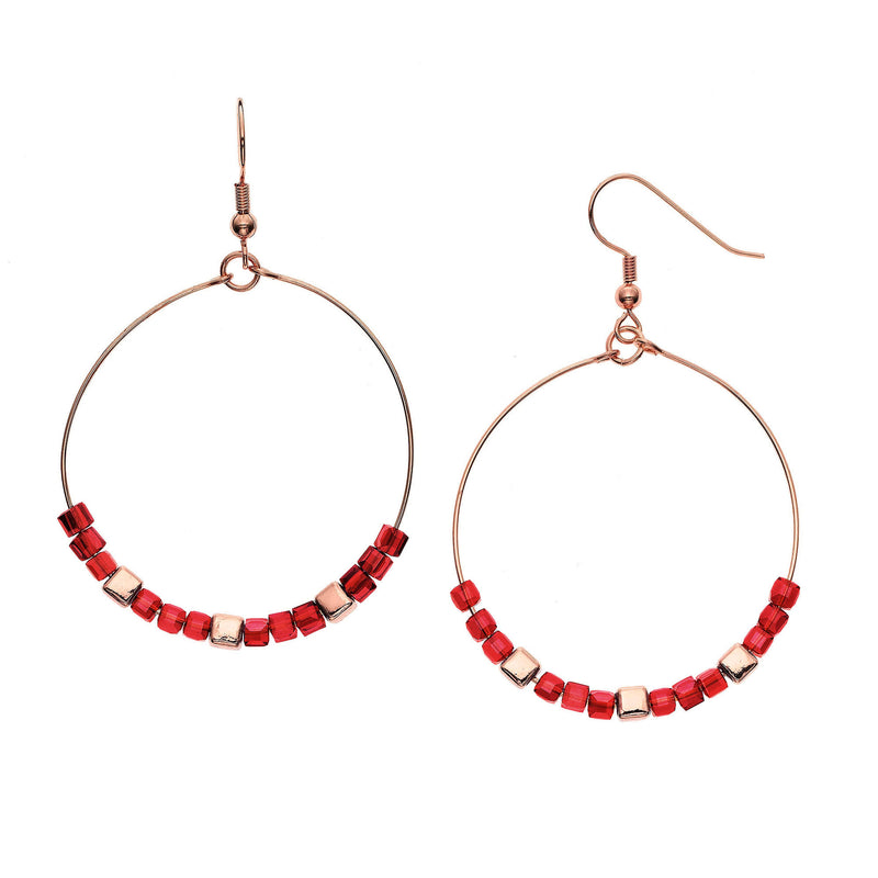 Y01518/RR Earrings