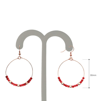 Y01518/RR Earrings