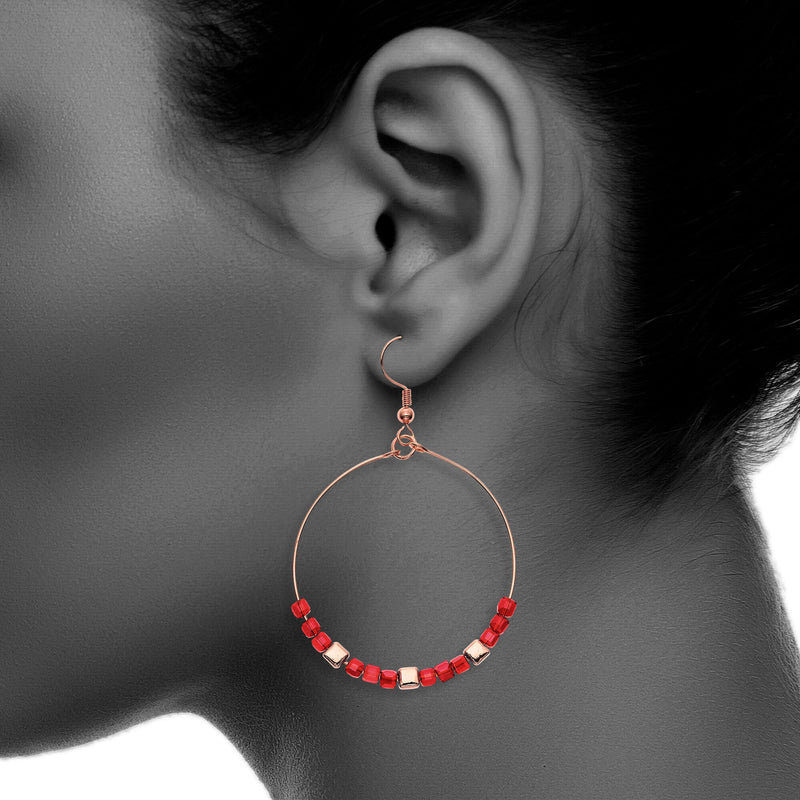 Y01518/RR Earrings