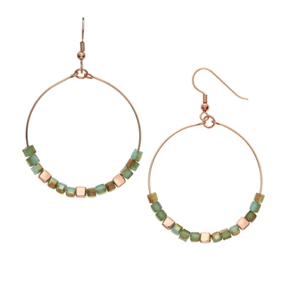 Y01520/TR Earrings