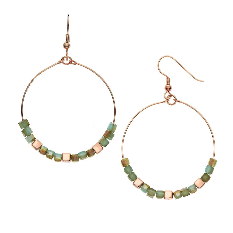 Y01520/TR Earrings