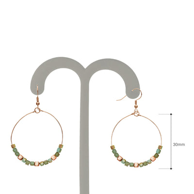 Y01520/TR Earrings