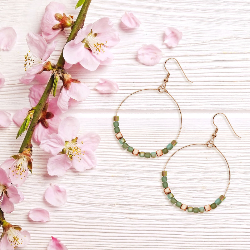 Y01520/TR Earrings