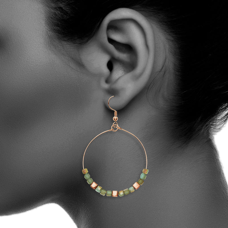 Y01520/TR Earrings