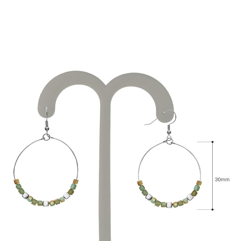 Y01520/TW Earrings