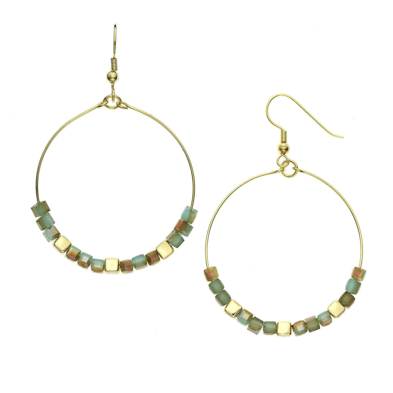 Y01520/TY Earrings