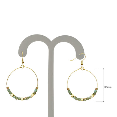 Y01520/TY Earrings