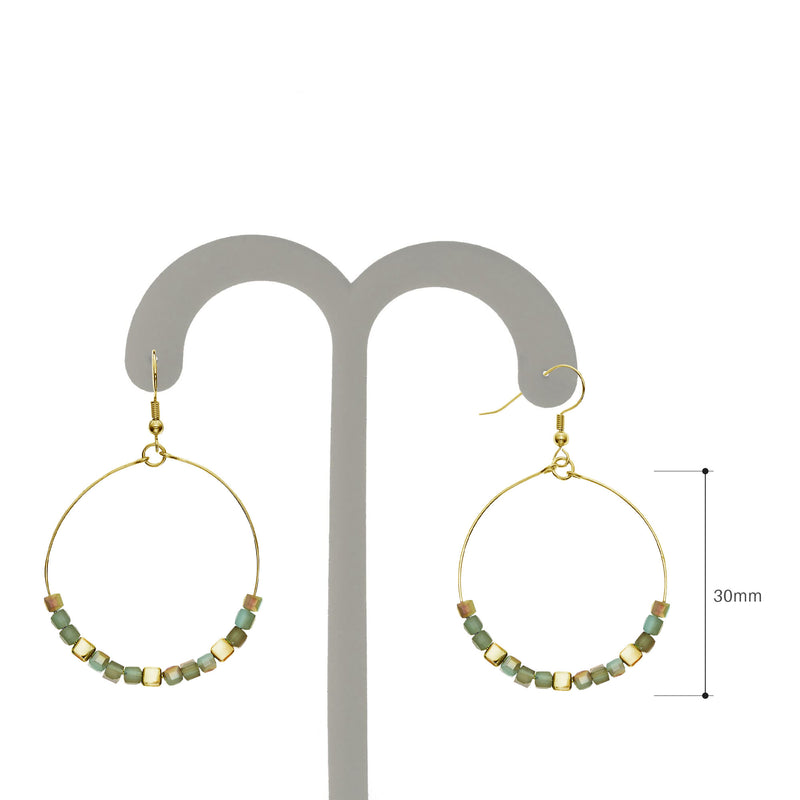 Y01520/TY Earrings