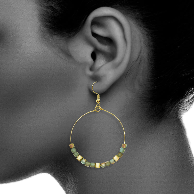 Y01520/TY Earrings