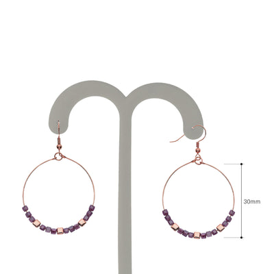 Y01521/AR Earrings