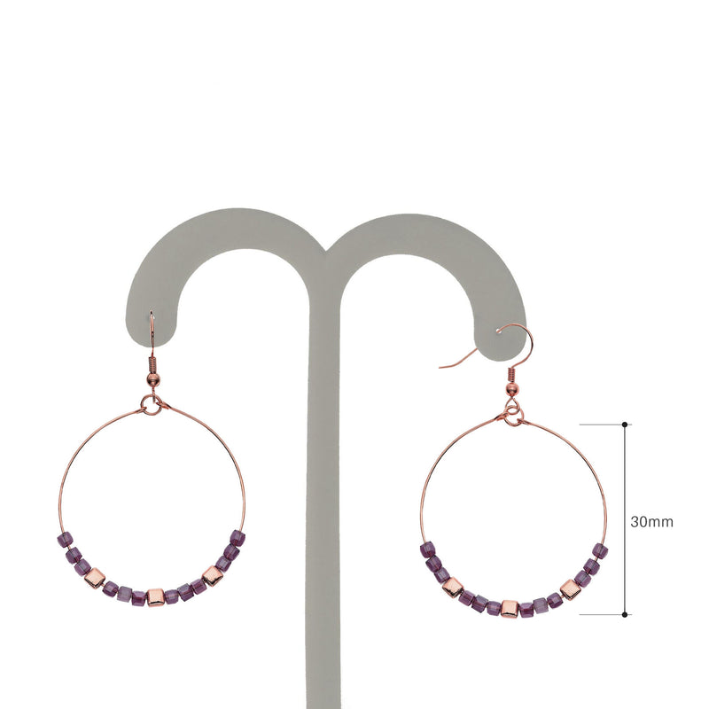 Y01521/AR Earrings