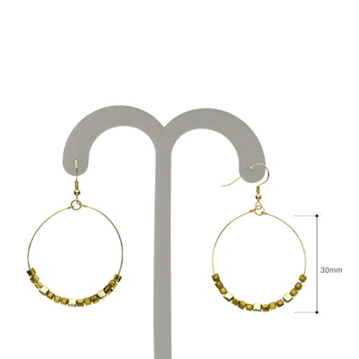 Y01523/CY Earrings