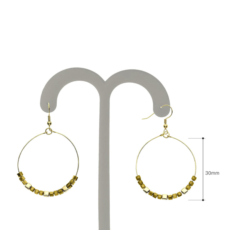 Y01523/CY Earrings