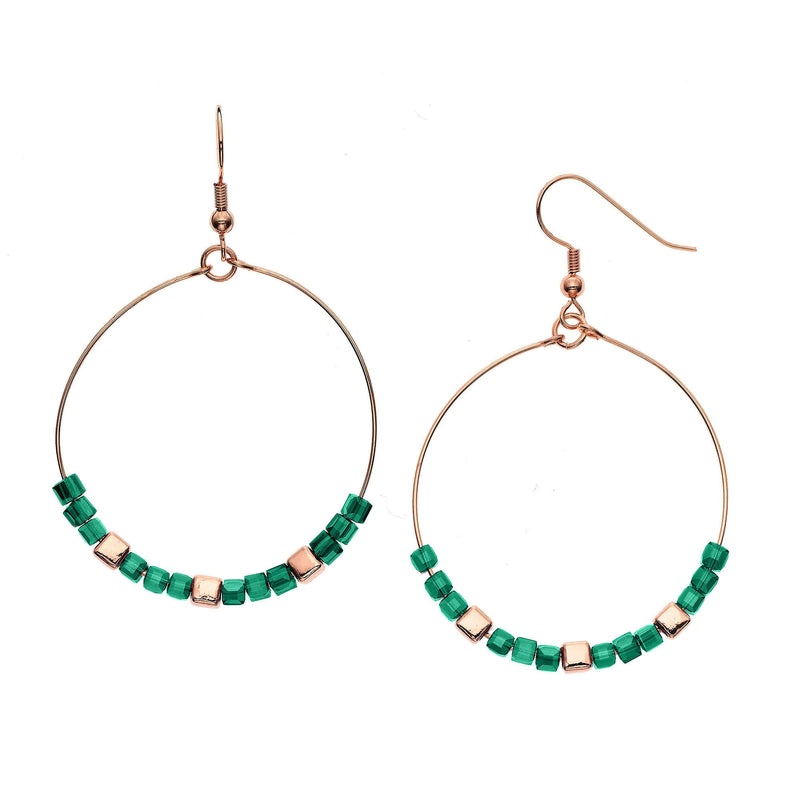 Y01524/TGR Earrings