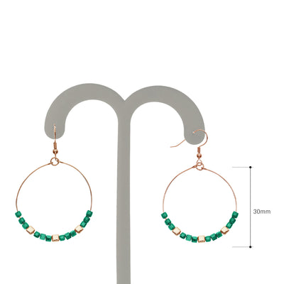 Y01524/TGR Earrings