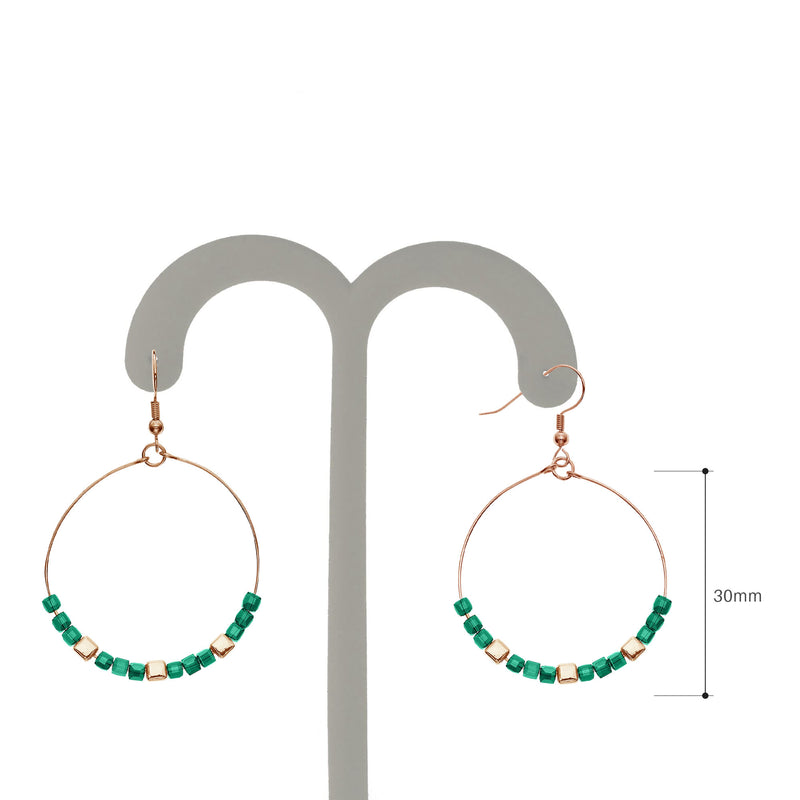 Y01524/TGR Earrings
